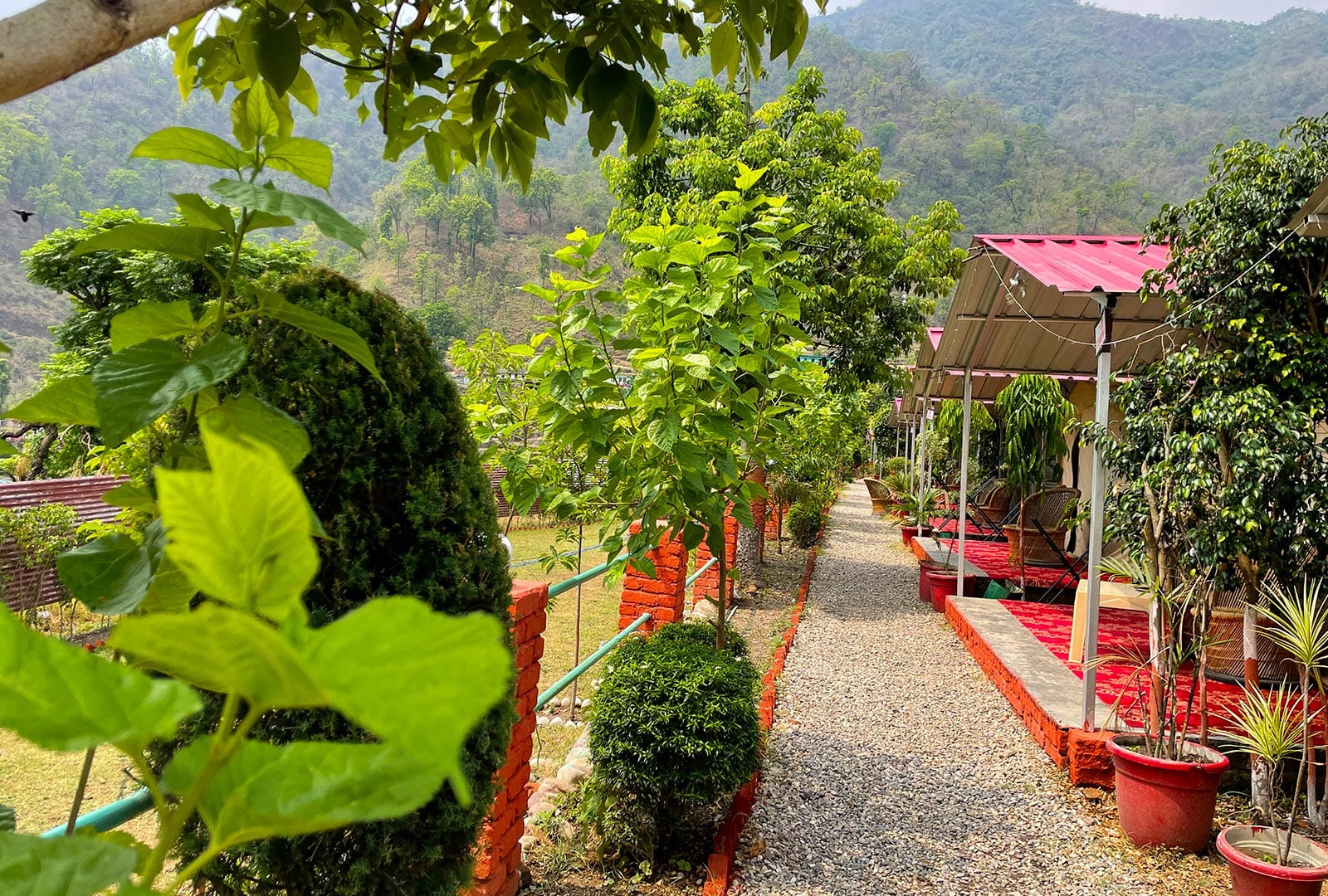 swiss-luxury-camp-in-rishikesh