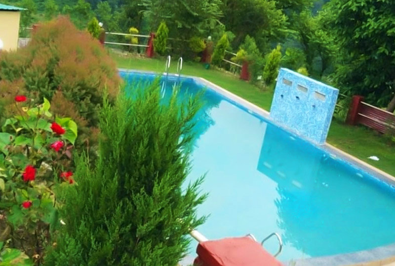 luxury-camp-in-Rishikesh-swimming-pool